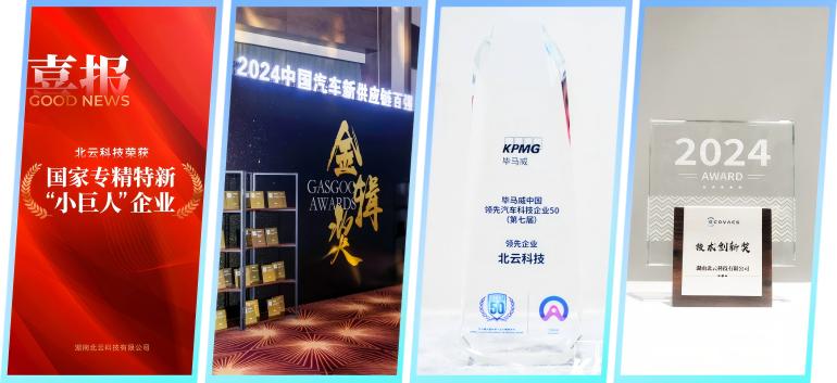 “小巨人”企業的規?；慨a之路